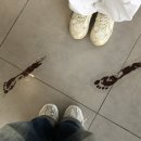 주식회사 지씨화랑 | 괴출 팝업 후기 :: &lt;어둠탐사기록: 살아남은 자의 기록전&gt; 괴담출근 팝업 전시 방문 후기, 스포 주의