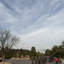 영도의 울림 | 부산 역사 여행 코스 추천 : 한국전쟁과 피란만의 삶 팸투어 후기(유엔기념공원/우암동/아미동/영도대교)