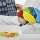 LA 다이어트 복싱 이미지