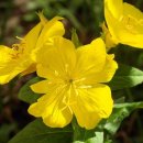 탠핏휘트니스 이미지