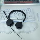 스페셜PC | 교육용 헤드셋 자브라 USB PC 헤드셋 이볼브 스페셜 에디션 후기