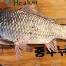 성호로 100 이미지