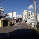 서귀동-8 이미지