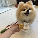 디디디아이 이미지