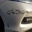 정석카공업사 이미지