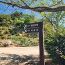 백두산주유소 공중화장실 | 애견동반 기장등산 트레킹코스 산책코스 백두사에서 일광산 등산