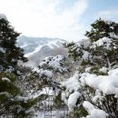 판교화담 - 성남시 분당구 느티로63번길 18 | 판교화담