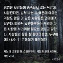 | 책 | 사는게 고통일 때, 쇼펜하우어 - 박찬국 (21세기북스) : 인간의 삶, 욕심을 버리는 과정