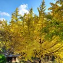 청곡사료 이미지