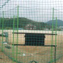 사등야구장 이미지