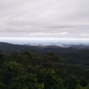 대관령전망대 이미지