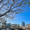 스테이웨이인 이미지