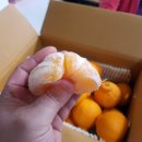 승희네농장 이미지