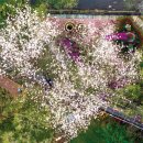 달랏(DA LAT) 이미지