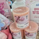 피오나 - 이천시 서희로82번길 30-10 | 피오나