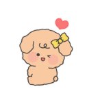 멍멍샤워 이미지