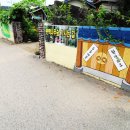 두동편백 이미지