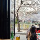 연호프 - 음성군 왕장안길 12-1 | 한성대 성신여대 성북천 벚꽃 야장 술집 추천 정통호프 내돈내산 후기
