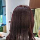 서희미장원 - 김해시 | 서희미장원