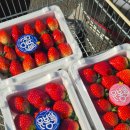 유봉농장 이미지