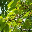 만수3동-13 이미지