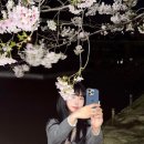 하나미 네이버블로그