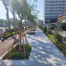 포스코대로 이미지