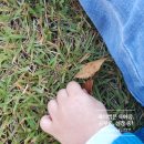 수문앞 화장실 이미지