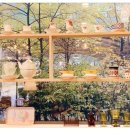 크레마3mm 이미지