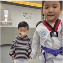 팀태권도장 이미지