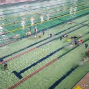 동홍생활체육관 이미지