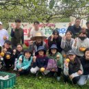 세종도원초등학교 이미지