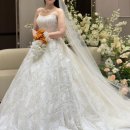 레이나호텔 | [플래뉴아르] 대구의 하이앤드 비즈드레스 웨딩샵 "아뜰리에레이나" 피팅 후기와 퀸벨호텔에서의 본식후기