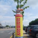 삼우사우나 | 남양주(일패동)본점-철원양평해장국 찐맛집 점심메뉴 강력추천 해장국맛집/국물이끝내줘요