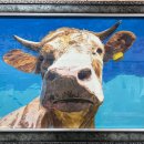 내가조선의한우다 이미지