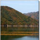 파로호생태마을 이미지