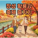 장성 공영터미널 화장실 | 2025 장성 황룡강 축제, 주차와 먹거리 완벽 즐기는 꿀팁!