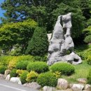 청송사슴농장 이미지