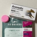 로로 동물병원 | 치와와 십자인대 수술 후기(°Ծ‸Ծ )/TPLO 수술/당일퇴원