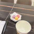 마이한의원 | 선이고은한의원 다이어트한약 2단계 완료후기 | 식단메뉴 체중변화 내돈내산 추천인