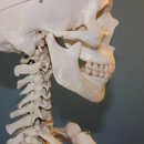 연세드림마취통증의학과의원 이미지