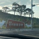 대전 금고동 반려동물공원: 시설, 야외운동장 이용후기