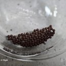 세웅한의원 이미지