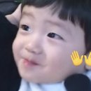 그로우모먼트 | 2025 겨울 블프 블랙프라이데이 위시🍀 (지그재그, 무신사, 29CM)