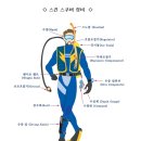 잠실스킨스쿠버다이빙