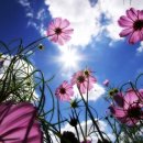 유니스어학원 이미지