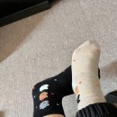 홀리데이 인 밀양 | 9박10일 부산 여행 : 게으른 사람의 바다 실컷 본 여행 후기