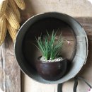 느티나무민박 이미지