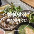 현지인만 아는 찐맛집! 양산맛집 한방돼지국밥