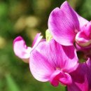 놀이터 PC 이미지